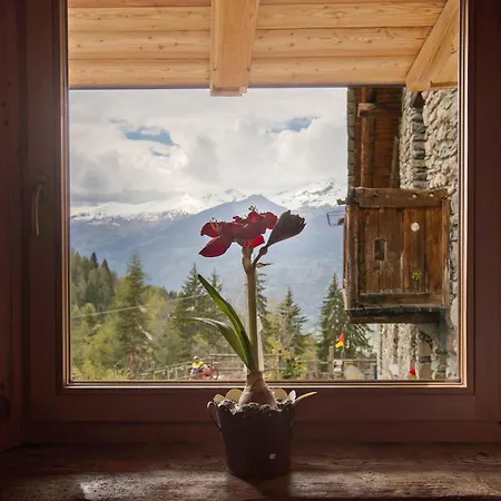 Prázdninový dům Maison Peroulaz